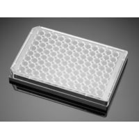 BD Plate Amine 96-well Black/clea 356717