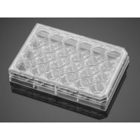 BD Plate Cell Culture 8UG CS24 354578