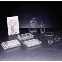 BD Primaria Treated Labware, Sterile, BD Biosciences 353803 Culture Dishes 100 x 20 Mm