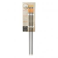 Bear Archery Brave Arrows
