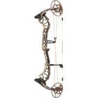Bear Archery Divergent