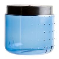BearVault Bv450