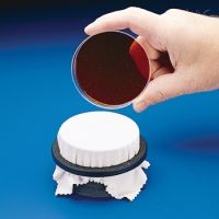 Bel-Art Replica Plating Tool F378480000