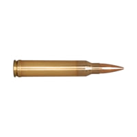 Berger Classic Hunter .300 Winchester Magnum 168 grain Classic Hunter Brass Cased Centerfire Rifle Ammunition