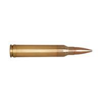Berger Classic Hunter .300 Winchester Magnum 185 grain Classic Hunter Brass Cased Centerfire Rifle Ammunition