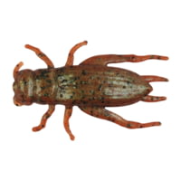 Berkley Gulp! Alive! Cricket Bait