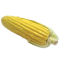 Berry's Manufacturing Corn Media 14/20 Grit