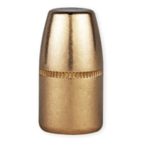 Berry's Manufacturing .45-70 GOV'T (.458) 350GR RS