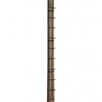 Big Dog Hot Foot Climbing Stick