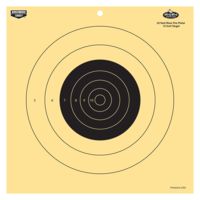 Birchwood Casey 35022 Dirty Bird Pistol 12" Target 25 Yard