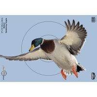 Birchwood Casey PreGame Duck Targets