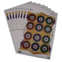 Birchwood Casey Dirty Bird Pregame Star Burst Targets