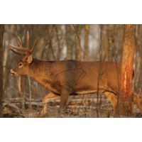 Birchwood Casey Eze-Scorer Whitetail Deer Target Folded 23x35 Inch 2 Per Package 37481