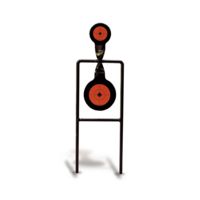 Birchwood Casey Mag Spinner Targets Double 46244