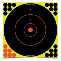 Birchwood Casey Shoot-N-C Targets 12 Inch Round Bullseye 12 Targets 288 Pasters 34022