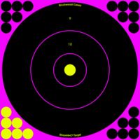Birchwood Casey Shoot-N-C Pink Reactive Target 12 Inch Bullseye 5 Per Package 34027