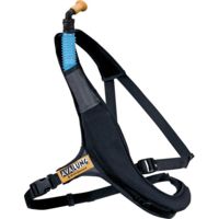 Black Diamond Avalung Ii