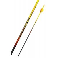 Black Eagle Arrows Renegade Fletched Arrows