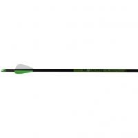 BloodSport Apocalypse Youth