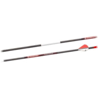 BloodSport Punisher Arrow