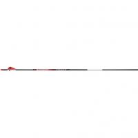 BloodSport Punisher Arrows