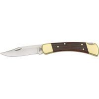 Buck Knives Model 110 Folding Hunter Knife