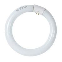 Bulbtronics Bulb Fluorescent 8.25IN 22W 0009028