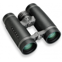 Name