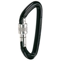 C.A.M.P. High Strength Screw Gate Carabiner