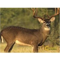 Caldwell Natural Series Deer Target 234412