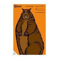 Caldwell Orange Peel 7-in Vermin Targets