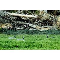 Camo Unlimited Hunting Accessories MS01B