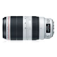 Canon EF 100-400mm f/4.5-5.6L IS II USM Telephoto Lens