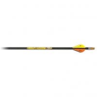 Carbon Express MayhemHotPursuit