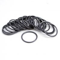 Carlson's Choke Tubes Shotgun O-Rings, Bulk 24 Pack