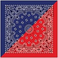 Carolina Manufacturing Split Paisley Bandanas