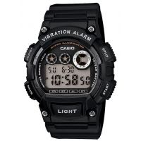 Casio Outdoor Mens Vibration Alarm