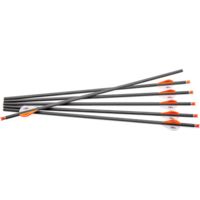 Centerpoint Xbow Arrow 20" Cp400 Carbon 6pk