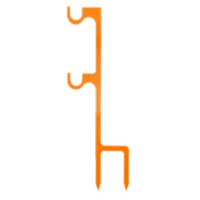 Name