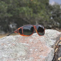 Cocoons Aviator XL OveRx Sunglasses