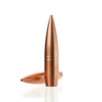Cutting Edge Bullets Match Tactical Hunting .375 Caliber 320 Grain Solid Copper Hollow Point Rifle Bullets