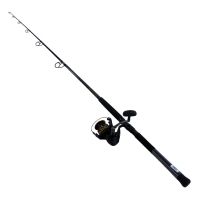 Daiwa BG 4500 Spinning Rod and Reel Combo