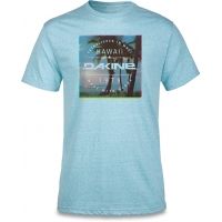 Dakine Postcard Palms T-shirt - Men's