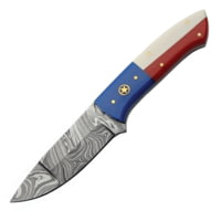Damascus Texas Pride 3.75 in Damascus Steel Fixed Blade Knife