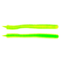 Danielson Trout Worm