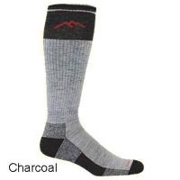 Darn Tough Ski/Ride Over-The-Calf Padded Cushion Sock - Men's - Berry L