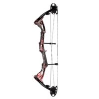Darton Archery Compound Bow Package