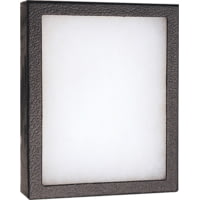 Displays 12 Cotton Filled Display Boxes