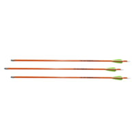 Dead Ringer Youth Arrow 3 Pack