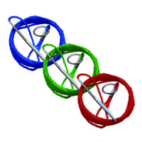 Eagle Claw Pully Hoist